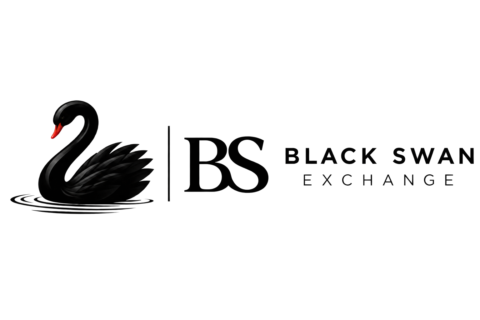 Black Swan Exchange